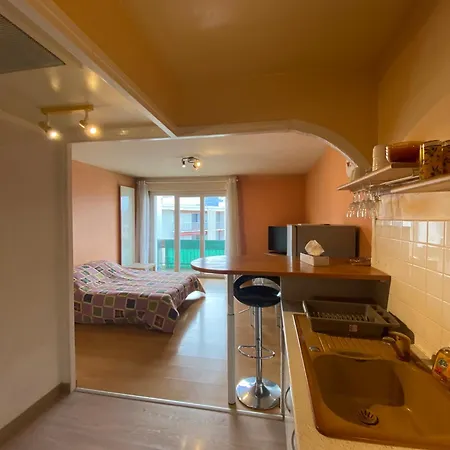 Appartement Aix-Les-Bains 公寓 *